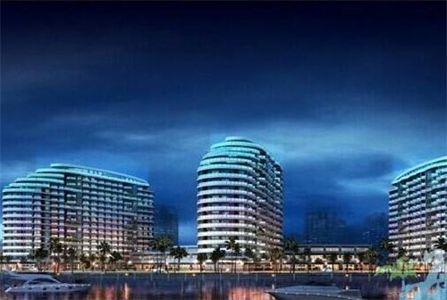 道真仡佬族苗族自治县调音器加盟投资开店什么项目好