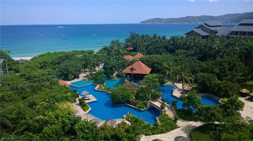 芝麻糊加盟什么项目最赚钱