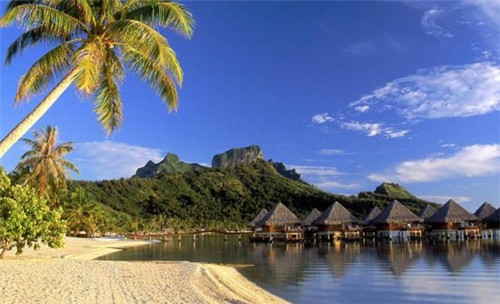 鸡翅木茶盘加盟店需要注意哪些事项，鸡翅木茶盘茶具价格图片大全