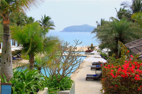 陈佬记手撕鸡购买（佬街佬味的手撕鸡做法）