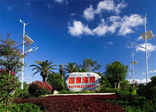 苗族老黑膏药正宗 正牌（苗家老黑膏多少钱一盒）