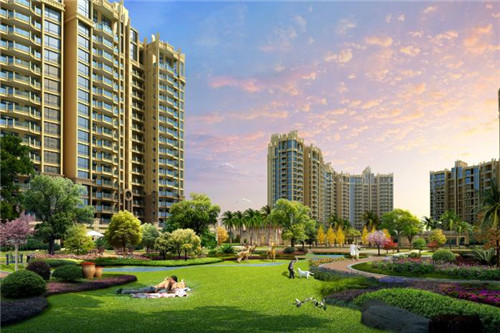 山杜鹃的十大禁忌是什么（山杜鹃鸟的图片）