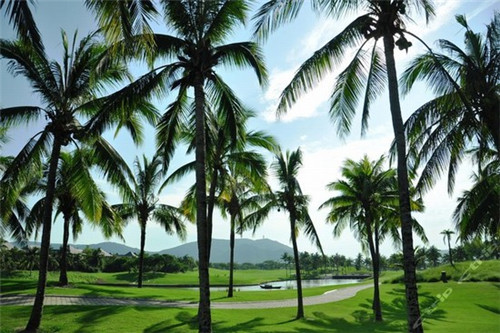 高中发明的小游戏（高中生开发游戏）