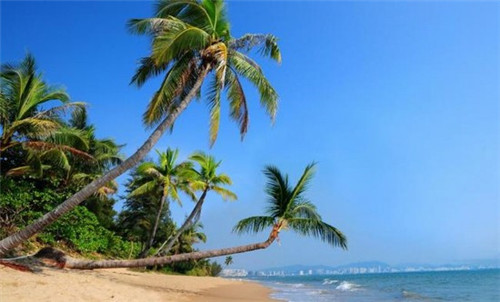 装修排水管需要换吗现在（装修排水管禁忌）