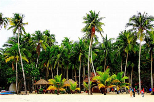 人类登月十大骗局是什么（人类登月是不是真的）